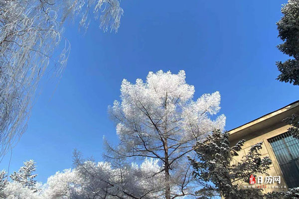 数九是从立冬开始立春结束吗