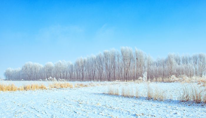 冬九九是从哪一天开始算的 冬九九从哪个节气开始