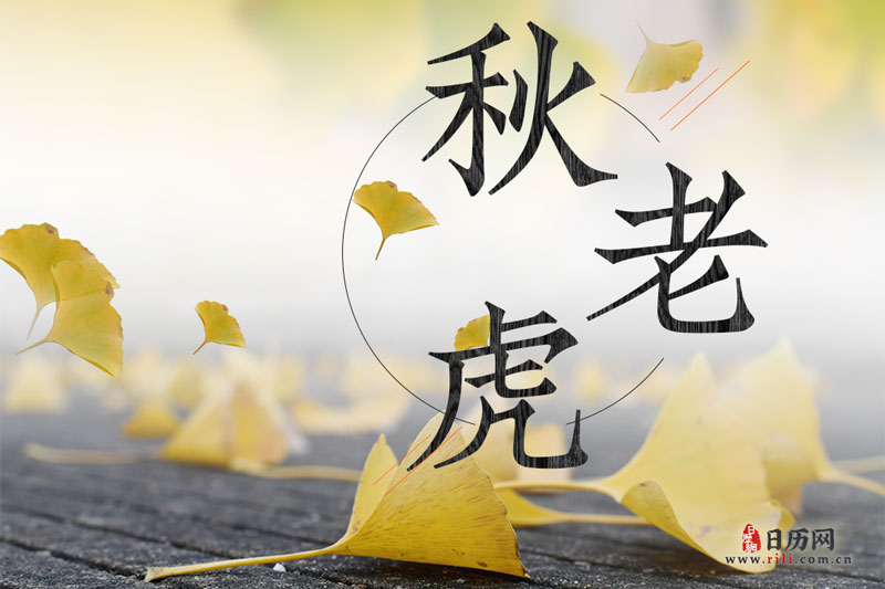 秋老虎持续多少天