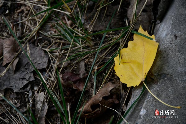 数伏最热的是几伏