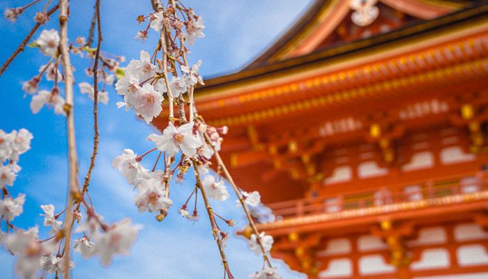 立春什么时候躲春2023 2023年躲春是早上还是晚上