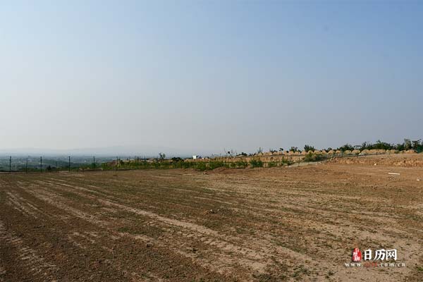 伏羊节是哪个地方的风俗