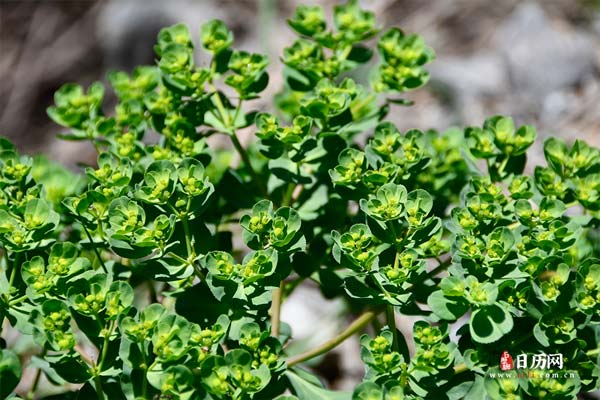 末伏的天气还热吗