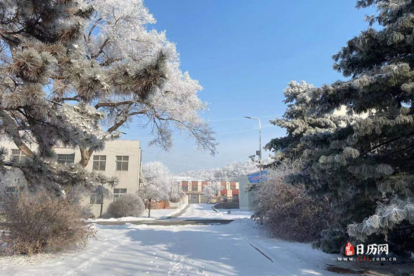 北方数九天顺口溜