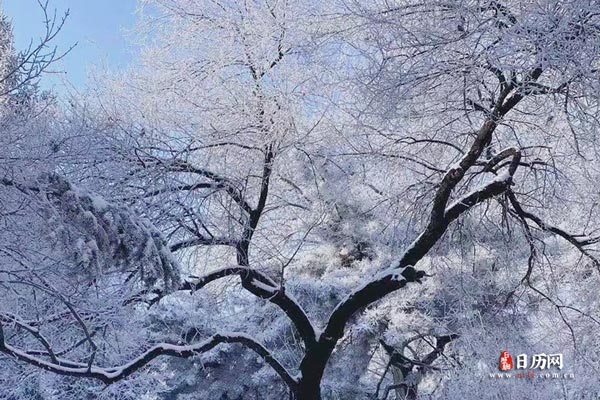 冬天数九顺口溜，数九歌每一句翻译