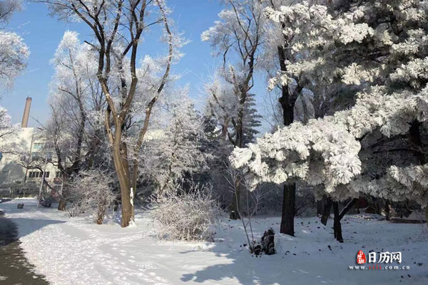 冬天数九一共多少天