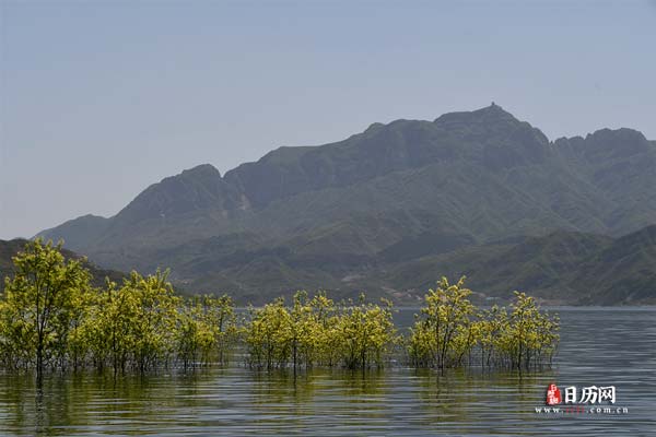 为啥叫三伏天,三伏天是什么