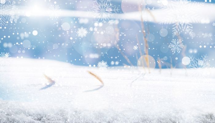 形容小雪节气的诗句唯美 关于小雪节气的优美诗句大全