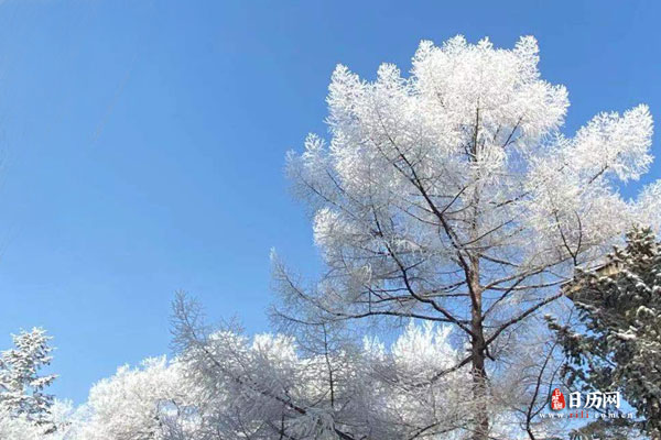数九歌中的数九是什么意思