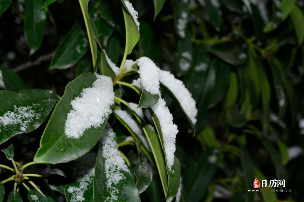 腊月是农历几月,腊月是农历十二月吗