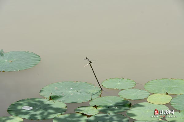 中伏和末伏哪个更热些