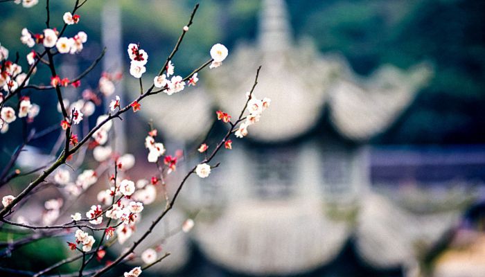 2023立春时间几点几分几秒怎么躲春 2023年躲春时间