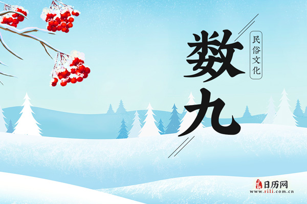 每年从什么时候开始数九