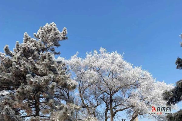 数九有几天，数九有多少天