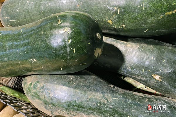 初伏适合吃什么食物