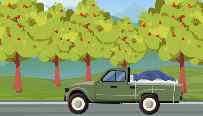 2023广西三月三高速公路免费吗 广西三月三都有哪些食俗