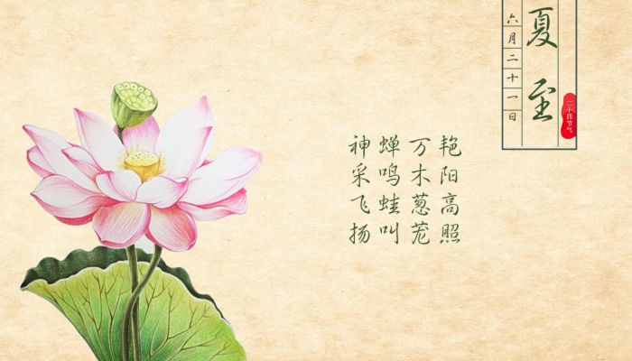 夏至是第几个节气 夏至是夏季的第几个节气