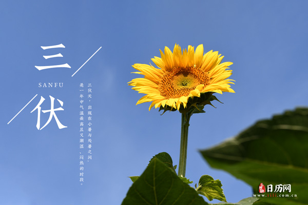 2023年三伏天时间表(带节日)