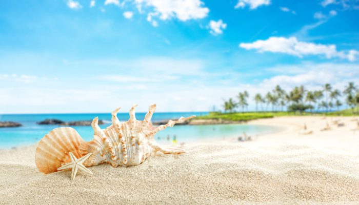 三伏天为什么叫秋老虎 秋老虎对应的叫啥