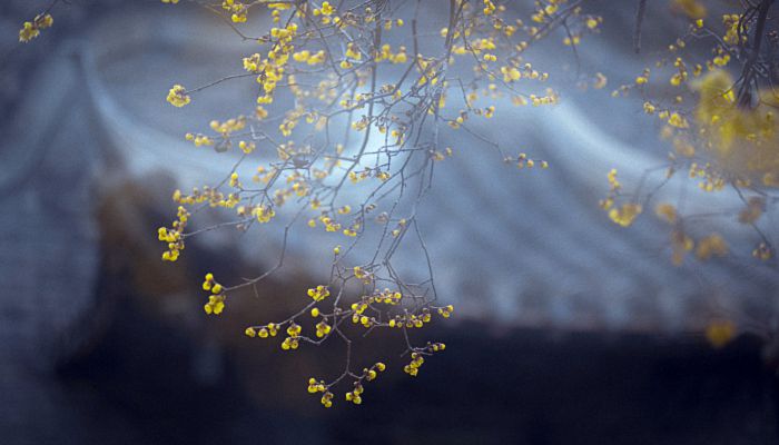 2023立春躲春的具体时间 2023立春躲春正确方法