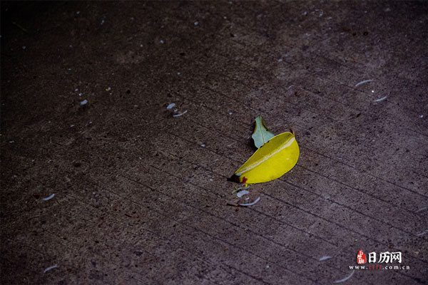 入伏下雨预示什么