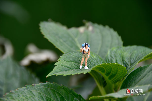 三伏天是哪三伏,夏季三伏天是哪三伏