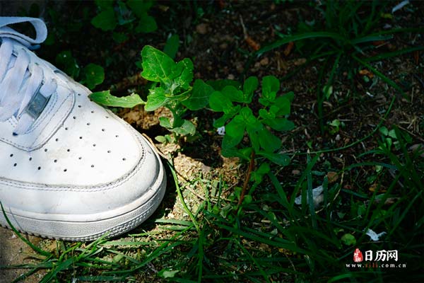 伏天拔罐对身体有什么好处