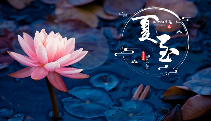 夏至是夏天到来的意思吗 夏至算进入夏天了吗