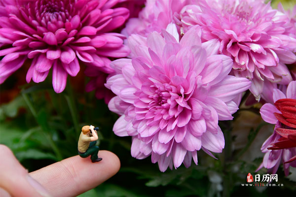 什么是三伏天,三伏天要做什么