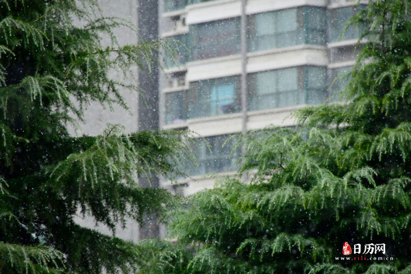 三九四九冻死老狗顺口溜