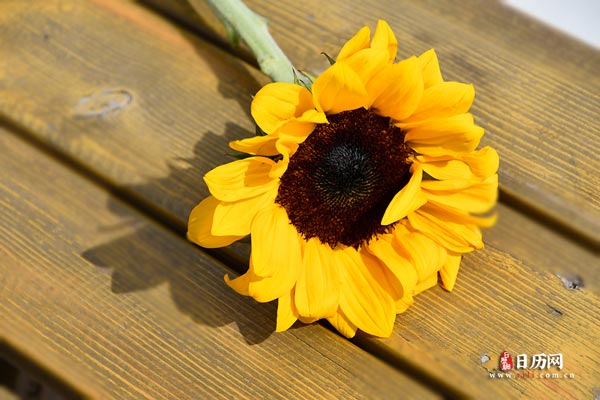 7月16日入伏，为何今年又是"双中伏"？