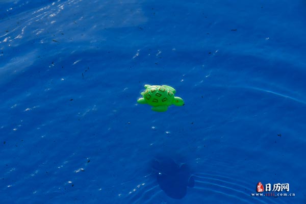 三伏天拔罐应注意哪些