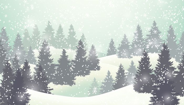 十月雪的诗句唯美 形容十月下雪的诗句