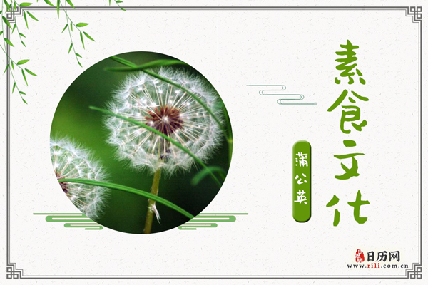 蒲公英的功效与作用:清热解毒,消肿散结,利尿通淋