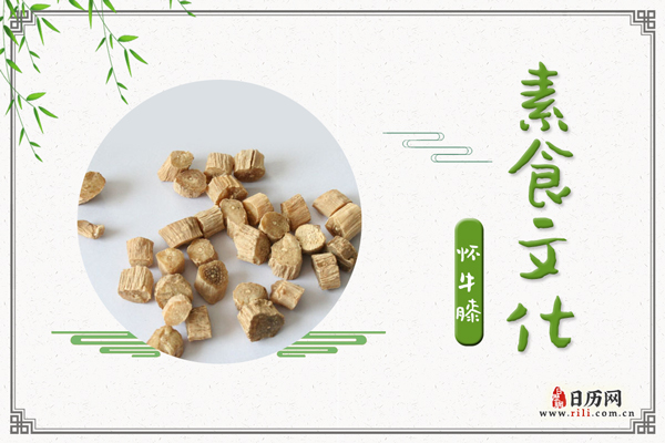 怀牛膝的功效与作用:逐瘀通经,补肝肾,强筋骨,利尿通淋