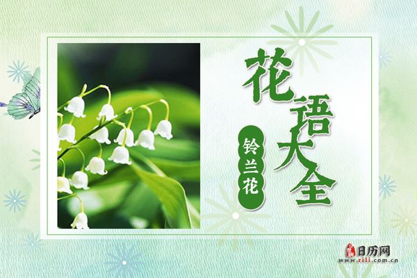铃兰的花语是什么?铃兰花语大全及美丽传说