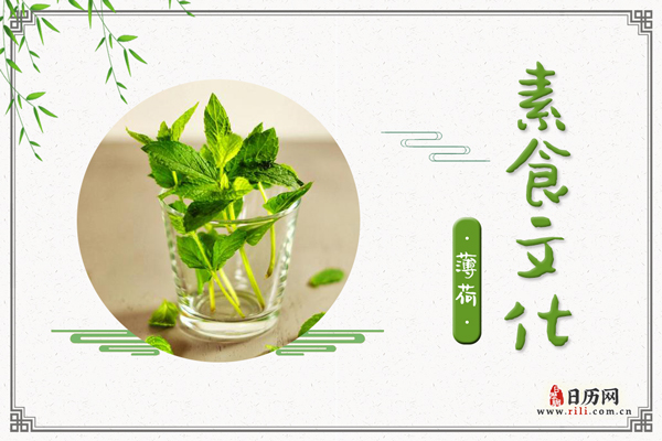 薄荷的功效与作用:发汗解热,疏肝理气,利咽止痛,止痒