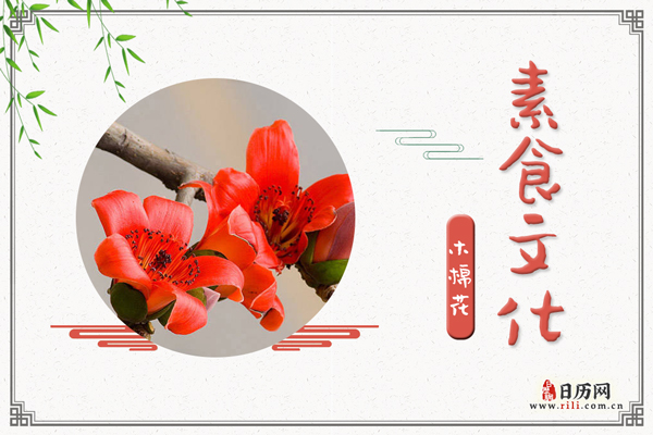 木棉花的功效与作用:清热,利湿,解毒