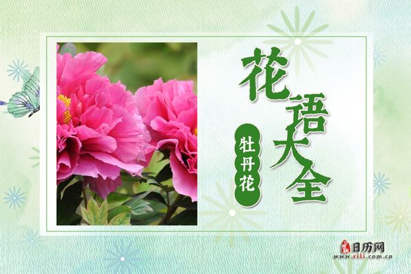 牡丹的花语是什么 牡丹的花语大全及传说