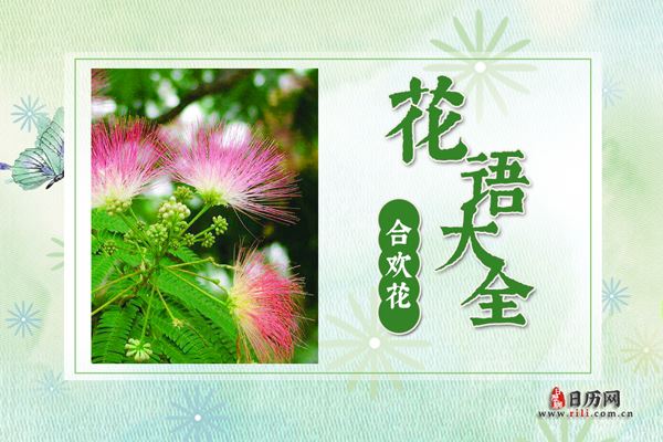 合欢花的花语是什么?合欢花花语大全及传说