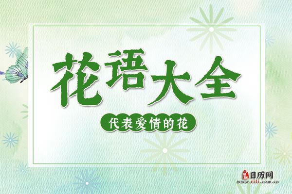 什么花代表爱情