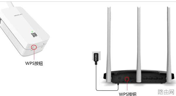 网线wps是什么意思