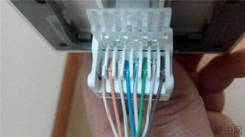 网线颜色有什么区别