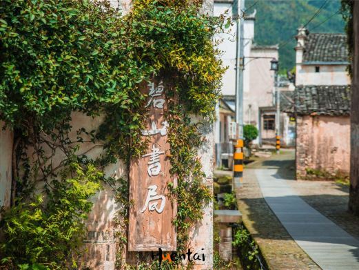 黟县碧山