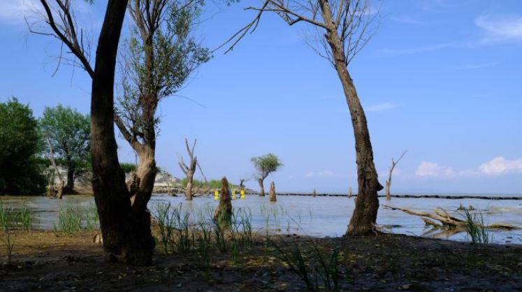 巢湖芦溪湿地