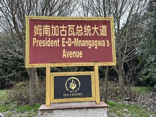 庐江相思林风景区