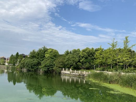 利辛印象江南生态乐园
