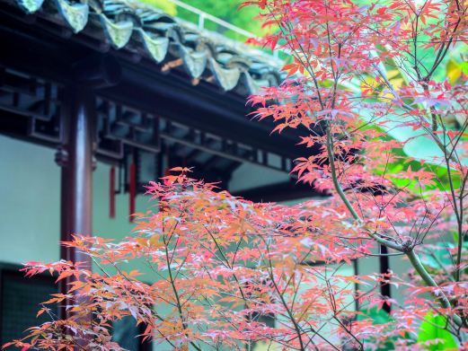 南京太平天国历史博物馆(瞻园)