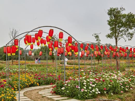 无为山水涧花海