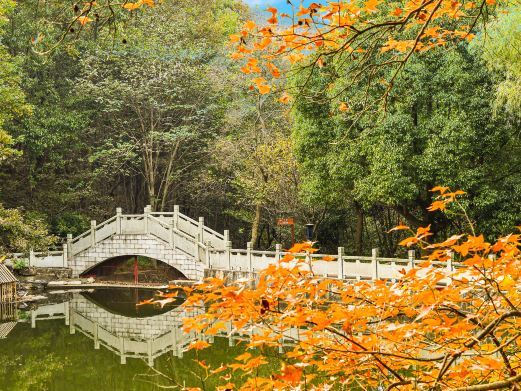 巢湖东庵森林公园